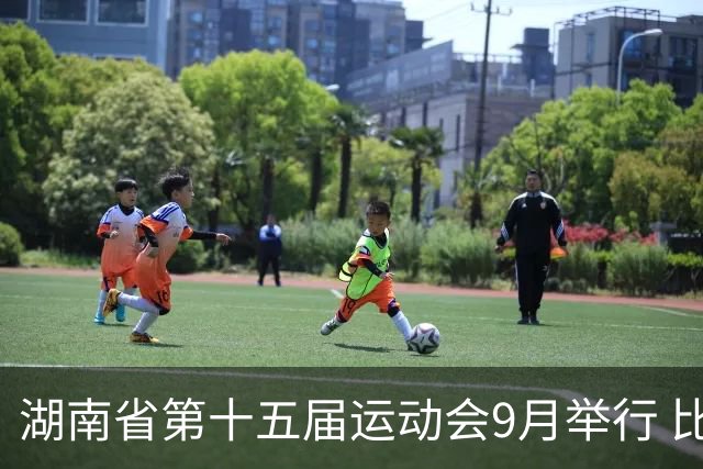 湖南省第十五届运动会9月举行 比赛场馆均已竣工验收